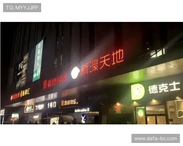 探索新豪天地：奢华生活与未来发展的完美融合